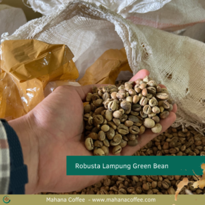 Robusta Lampung Green Bean